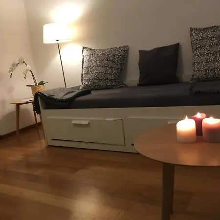 Parking Voiture & 2pcs Centre Apartment Lausanne